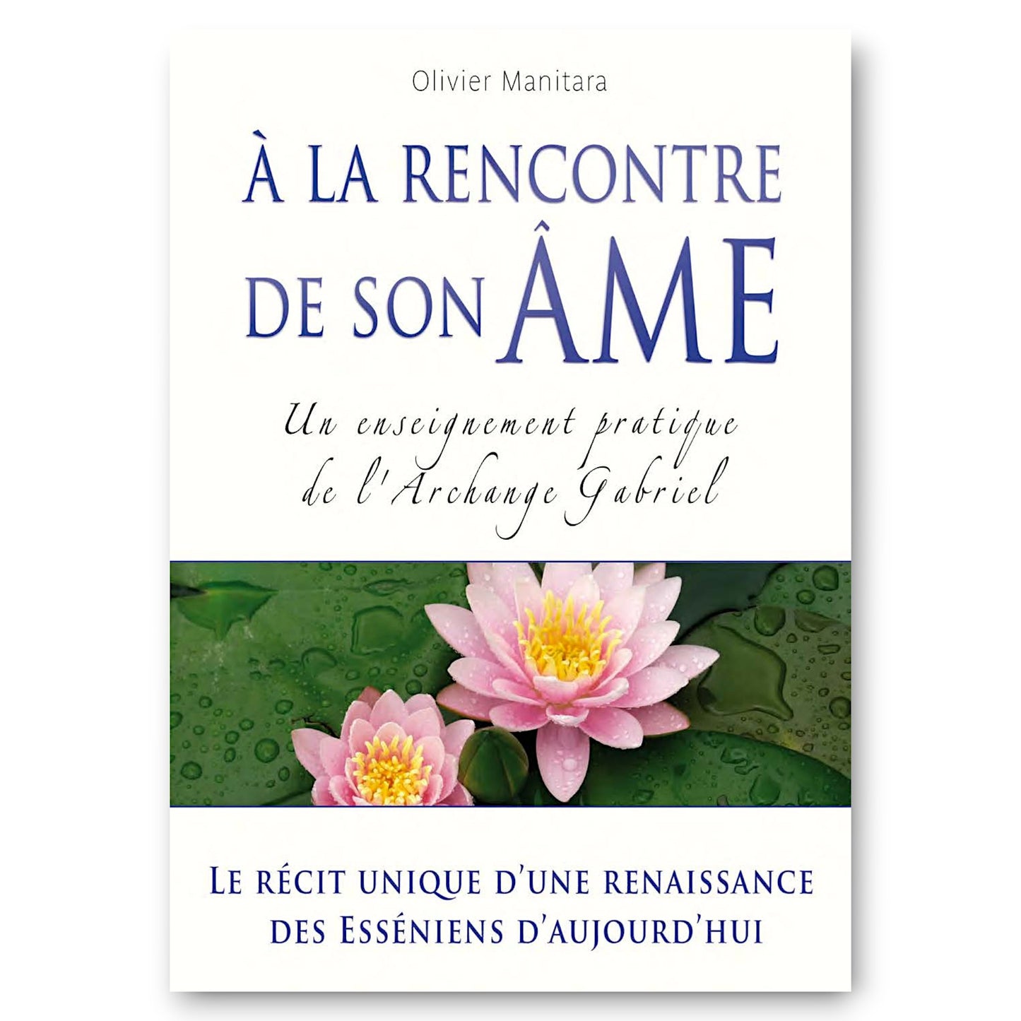 À la Rencontre de son Âme - Ebook