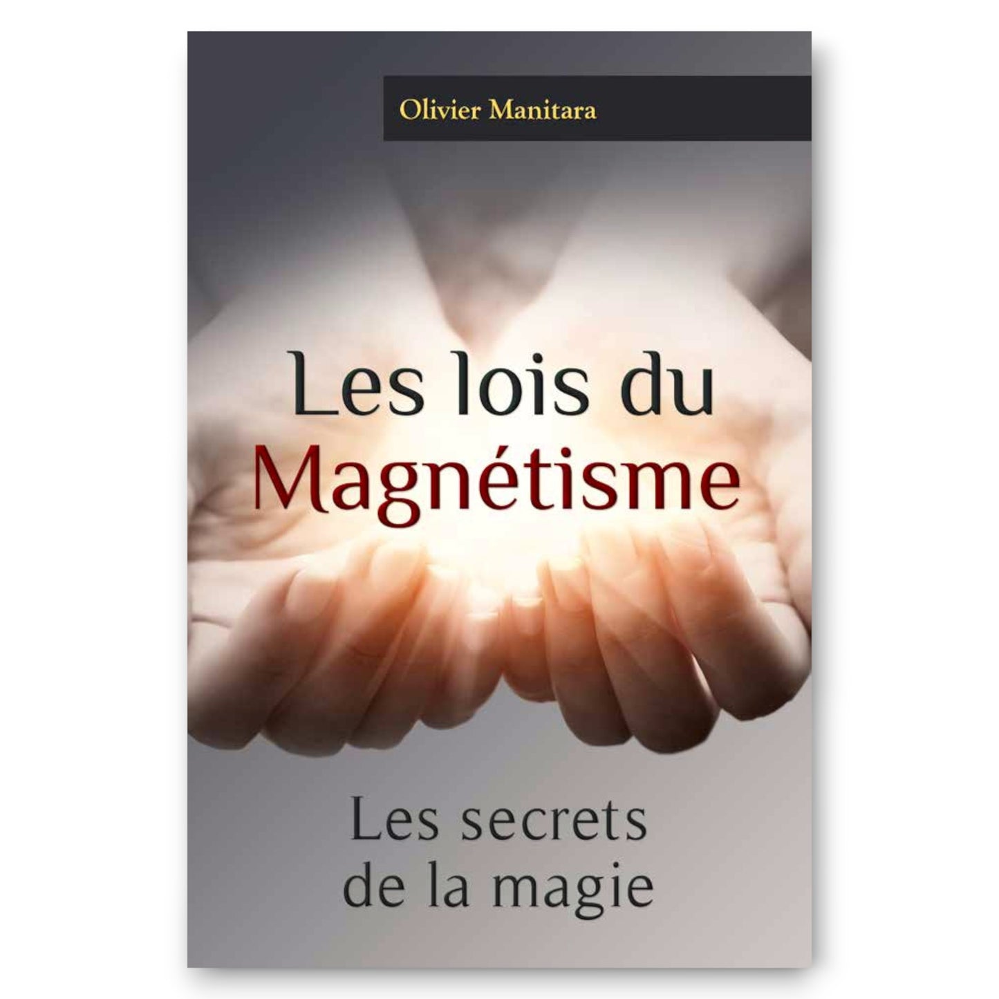 Les lois du magnétisme