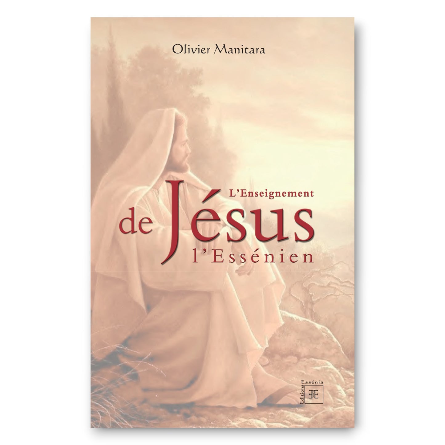 L'enseignement de Jésus l'Essénien - Ebook