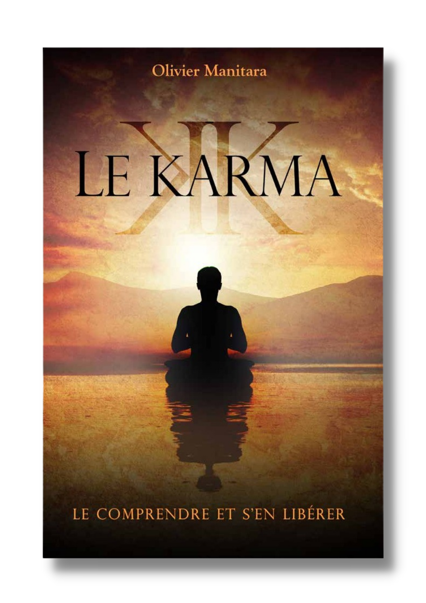 Le karma : le comprendre et s'en libérer