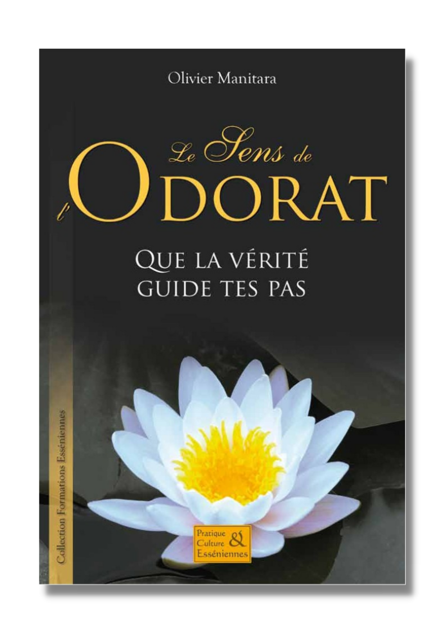 Le sens de l'odorat - Ebook