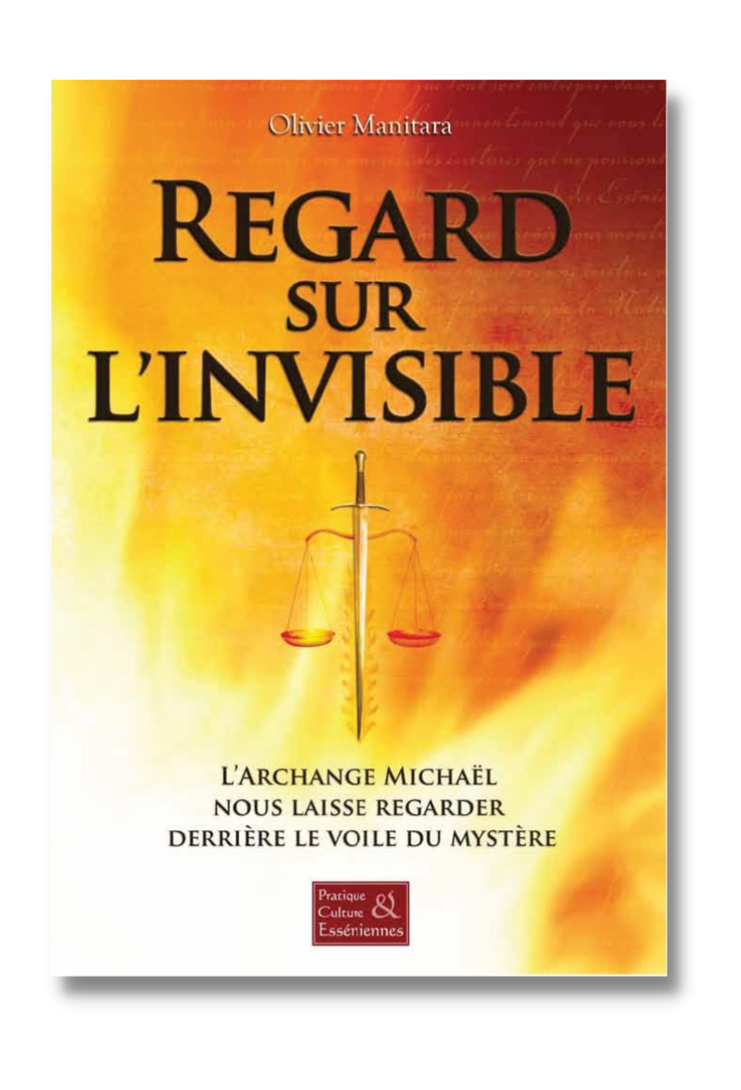 Regard sur l'invisible - Ebook